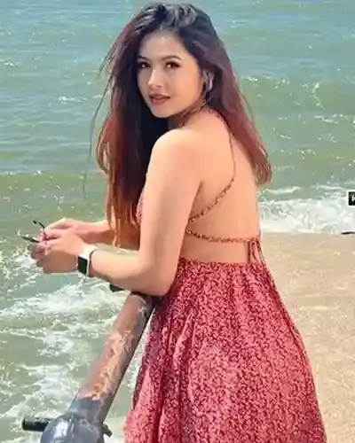 Vadnagar Escort Service