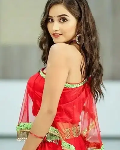 Escort In Vadnagar